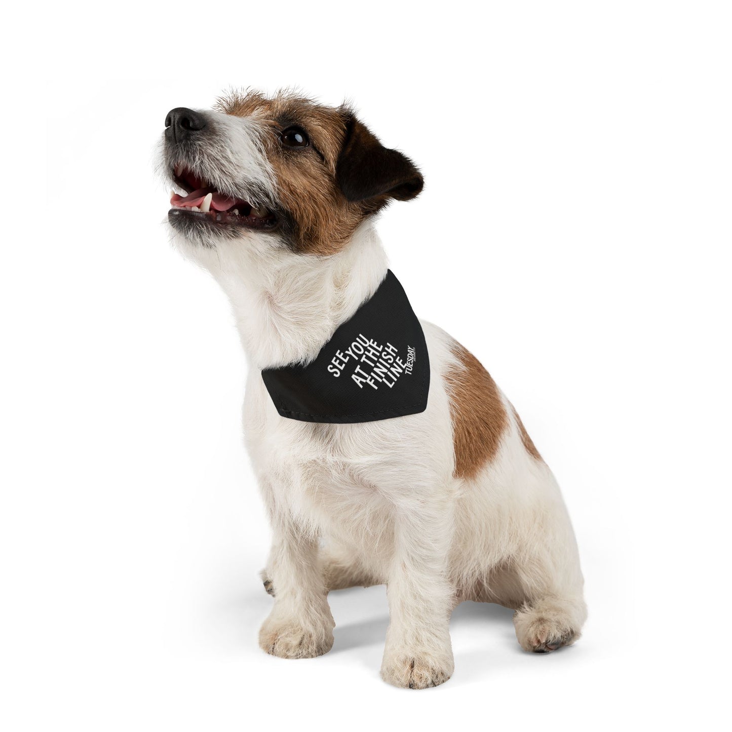 PET BANDANA