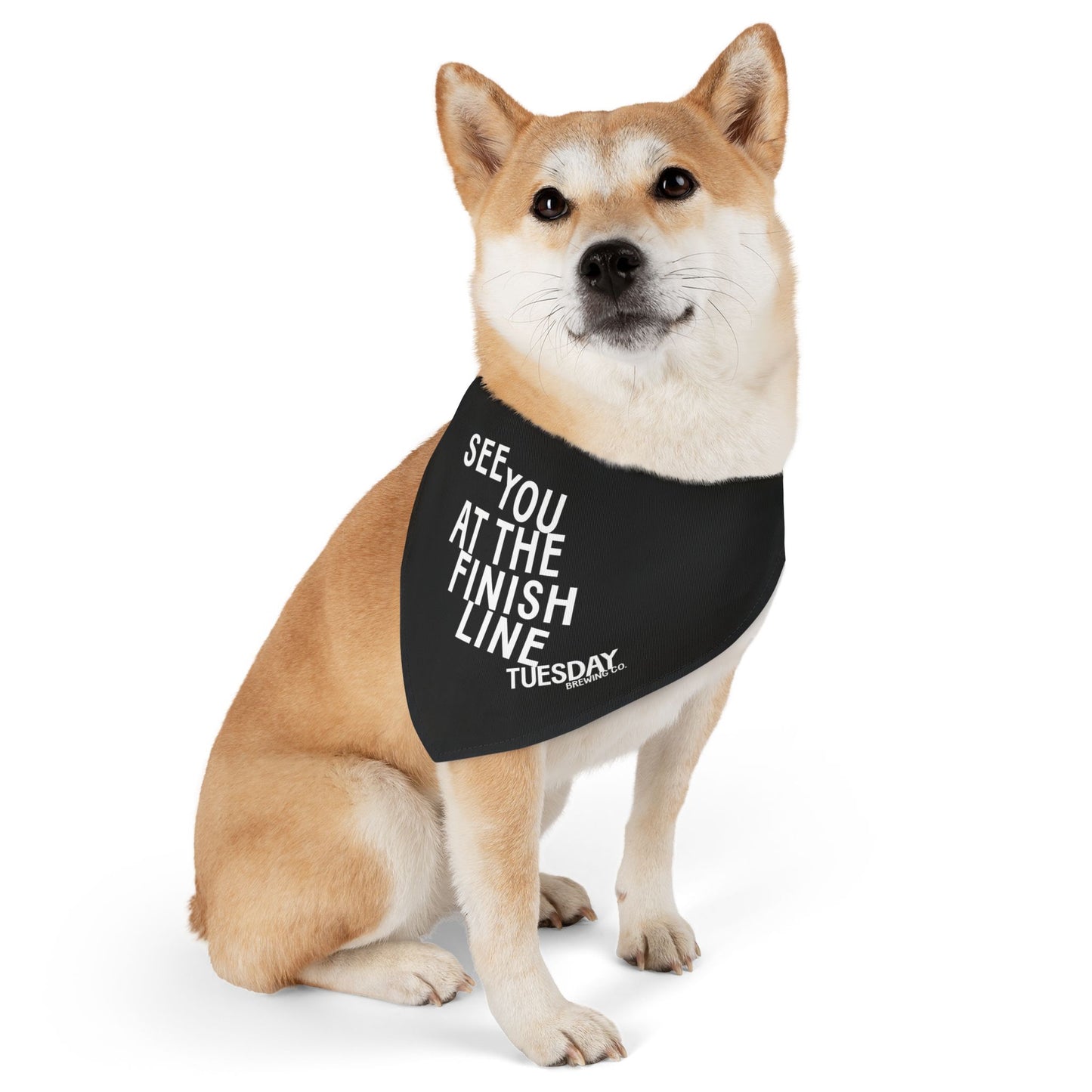 PET BANDANA
