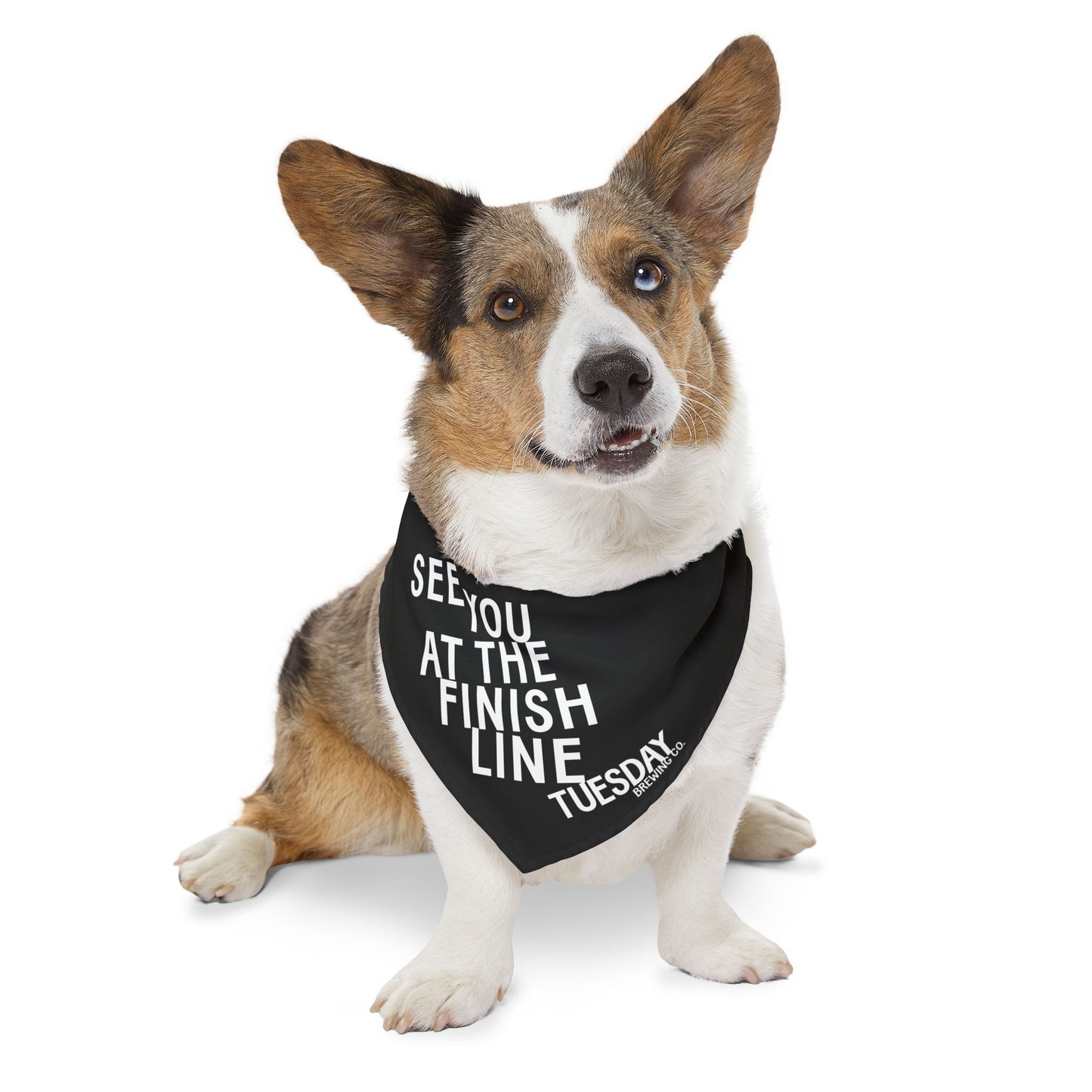 PET BANDANA
