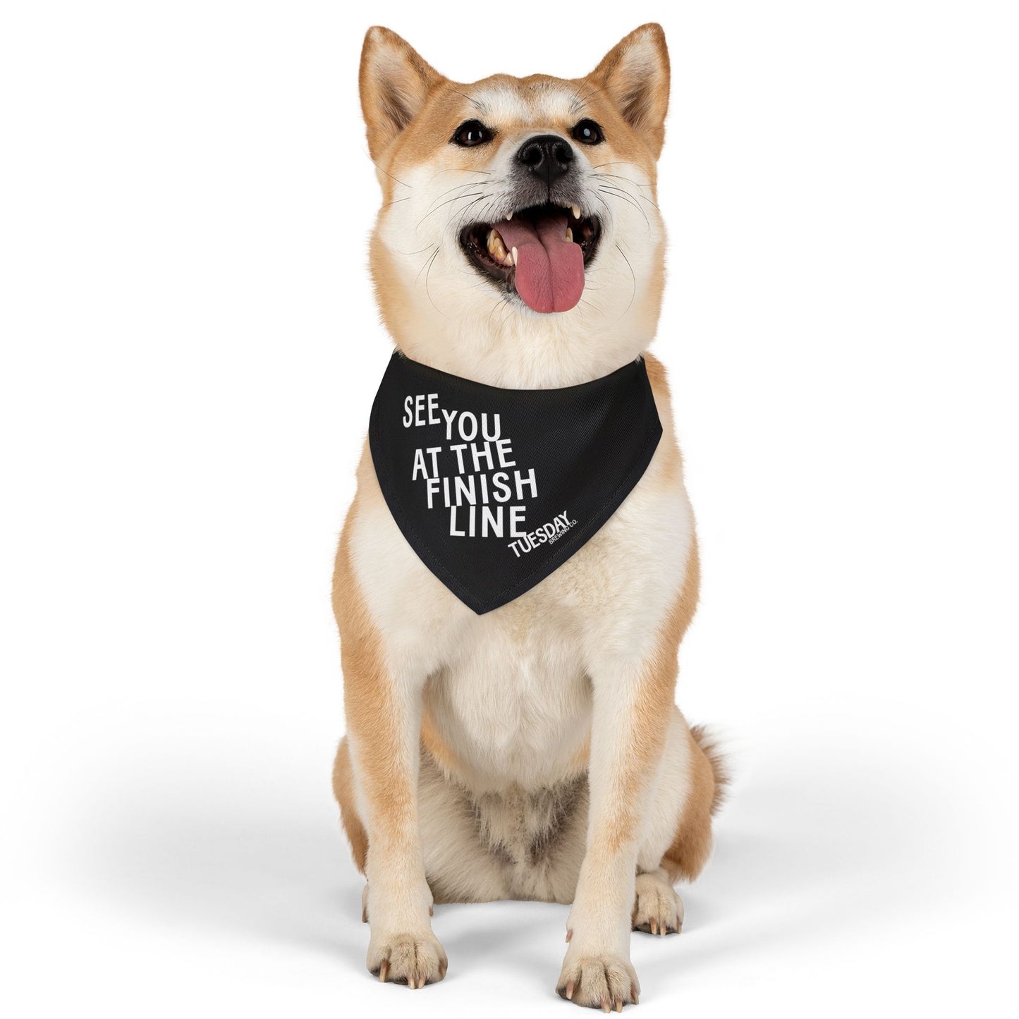 PET BANDANA
